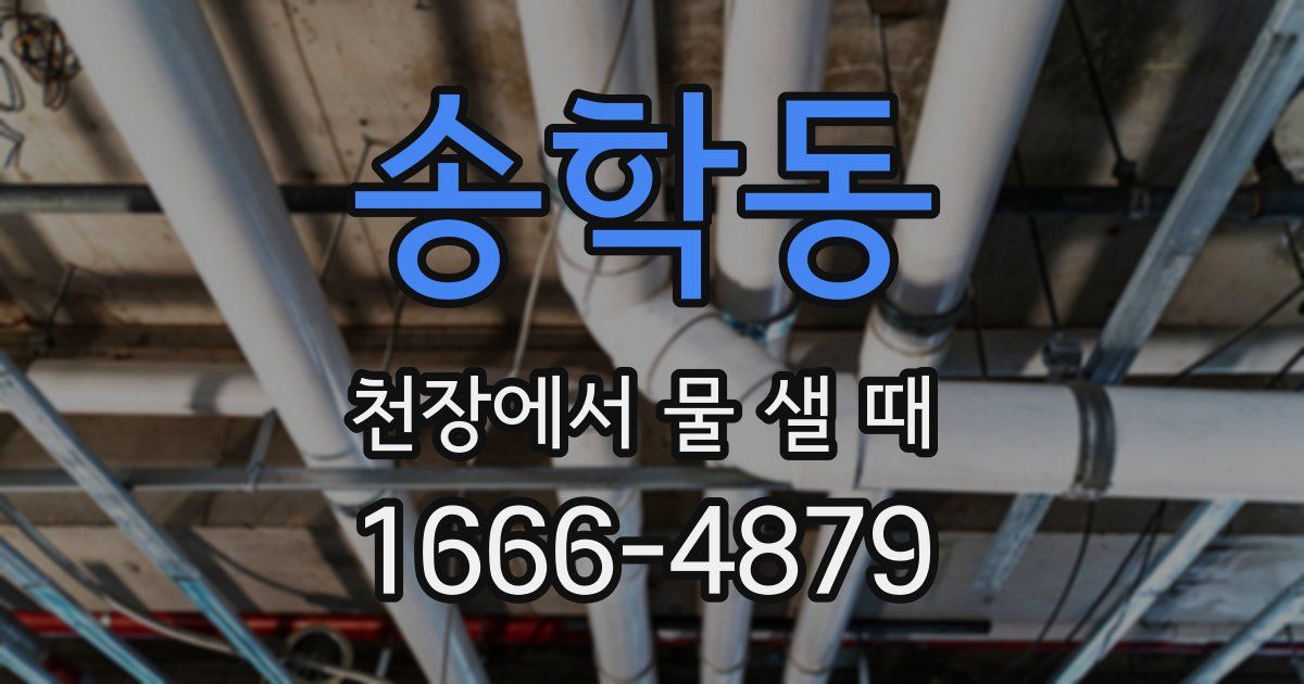 송학동 천장에서 물 샐 때