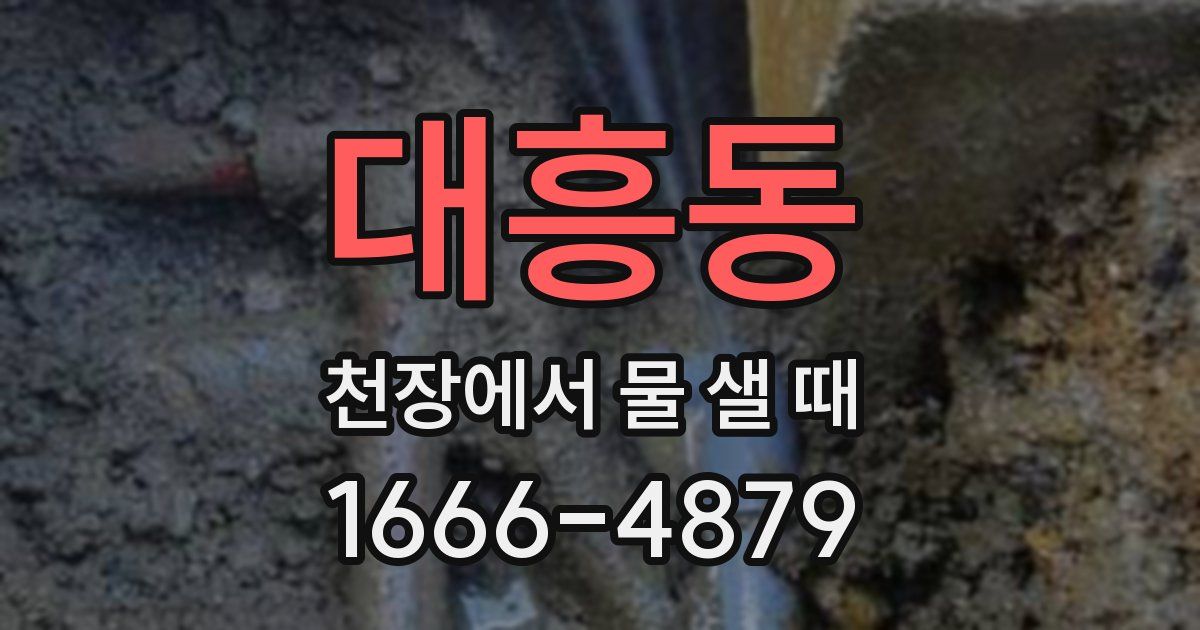 대흥동 천장에서 물 샐 때