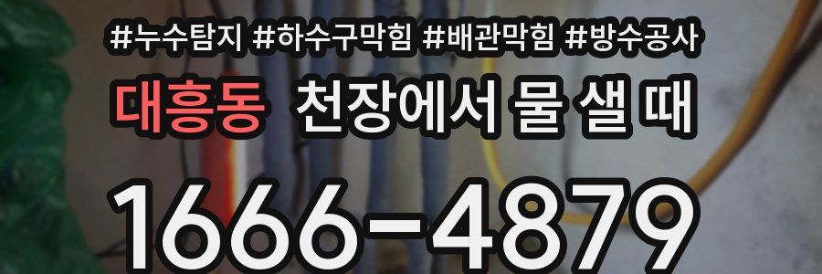 대흥동 천장에서 물 샐 때