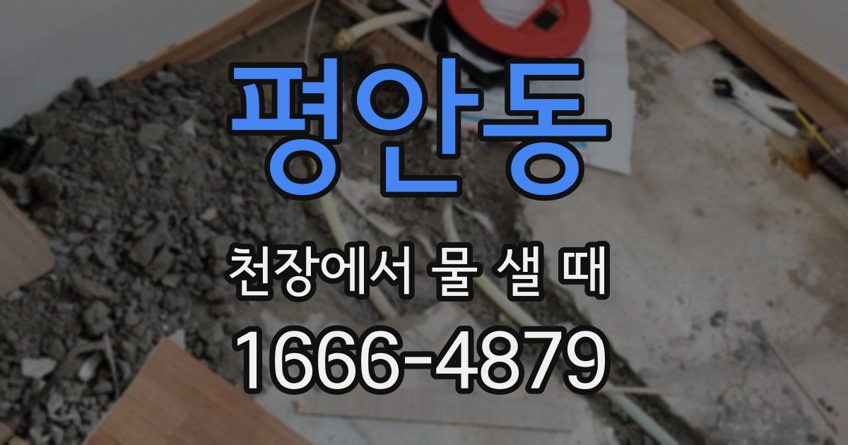평안동 천장에서 물 샐 때