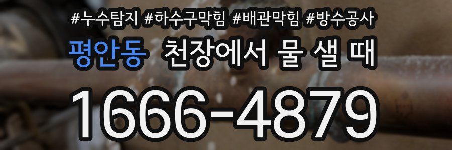 평안동 천장에서 물 샐 때