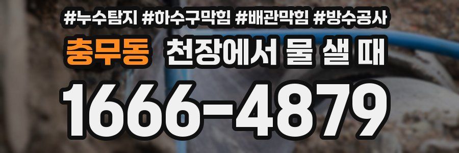 충무동 천장에서 물 샐 때