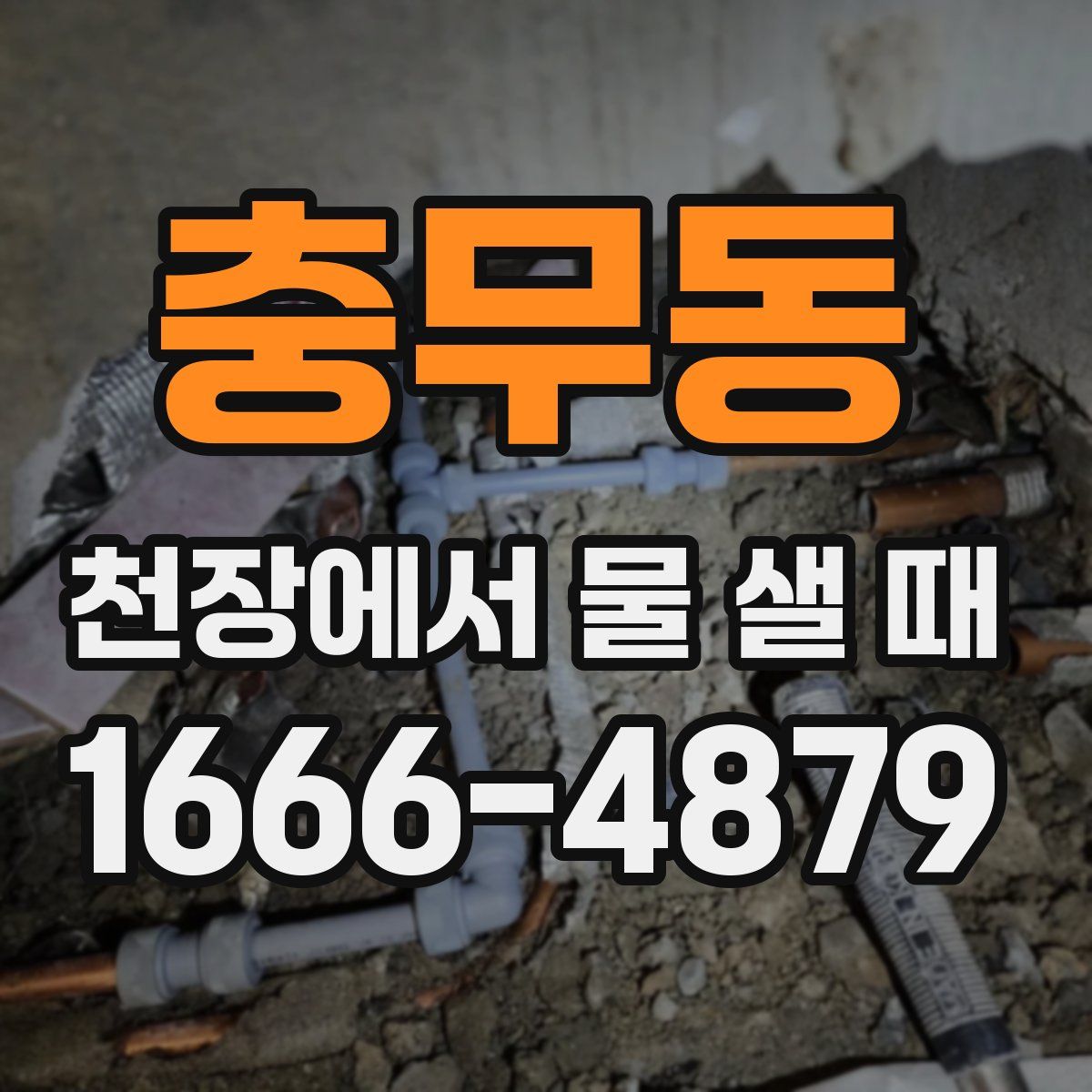 충무동 천장에서 물 샐 때
