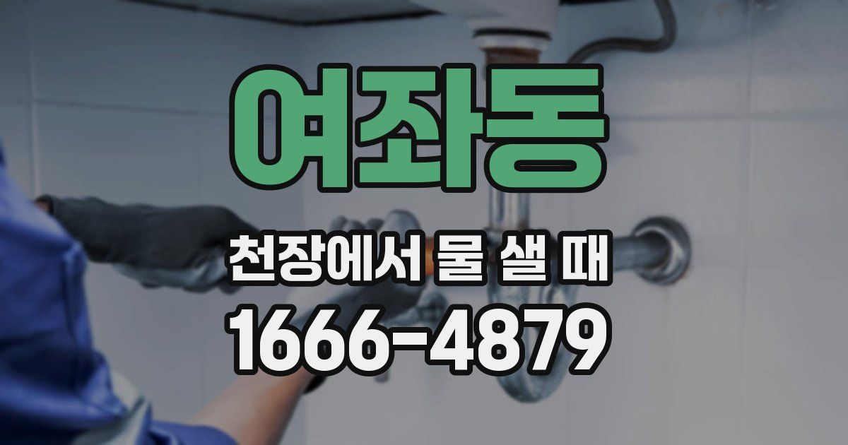 여좌동 천장에서 물 샐 때