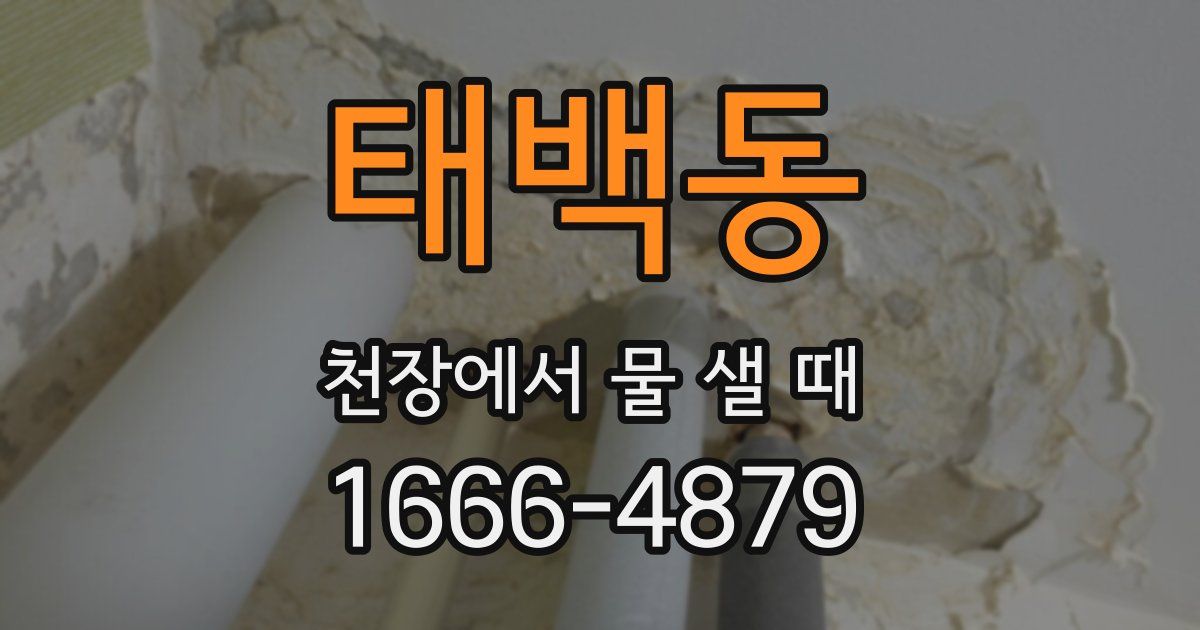 태백동 천장에서 물 샐 때