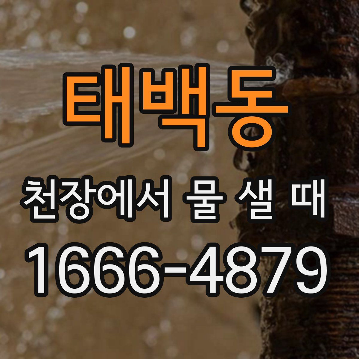 태백동 천장에서 물 샐 때