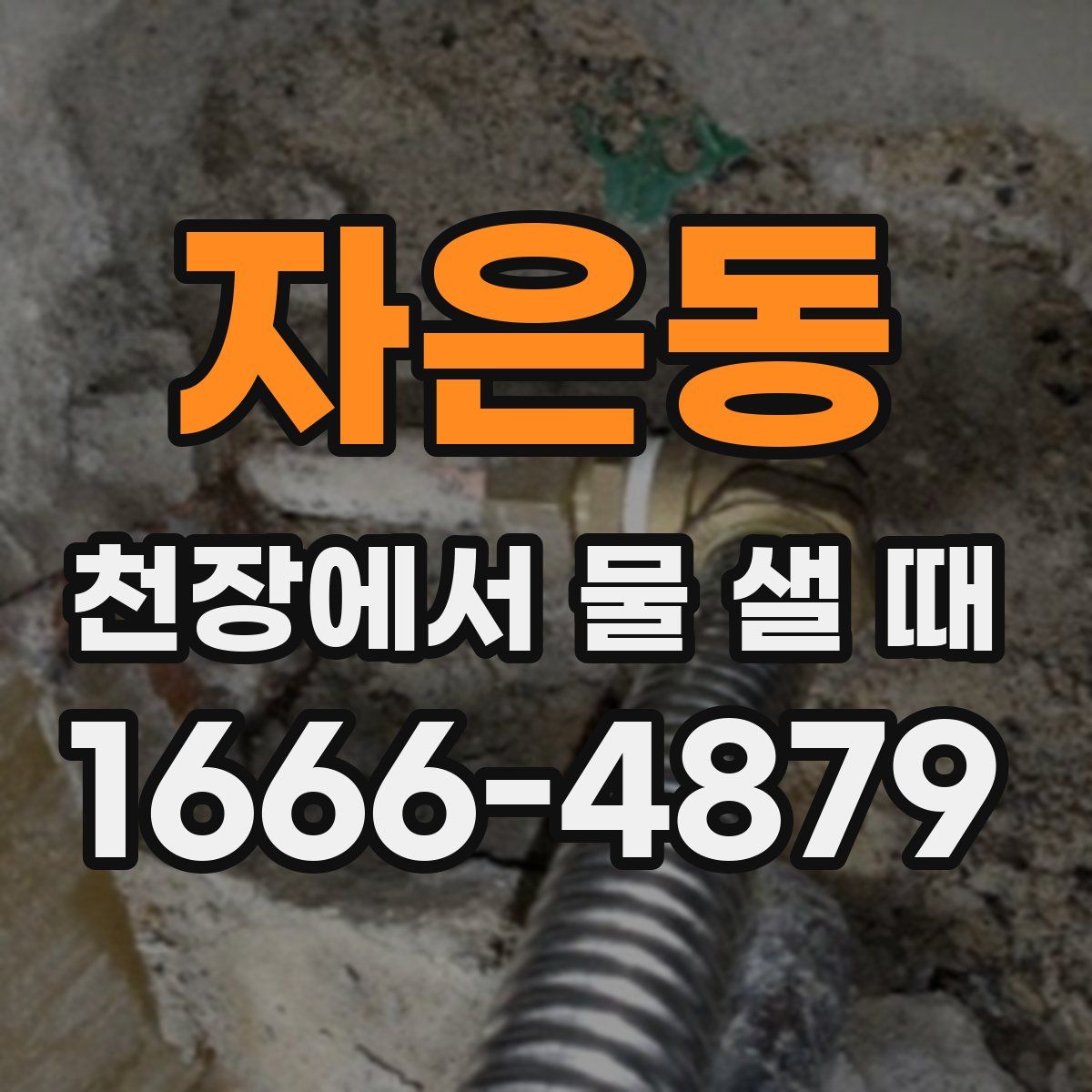 자은동 천장에서 물 샐 때