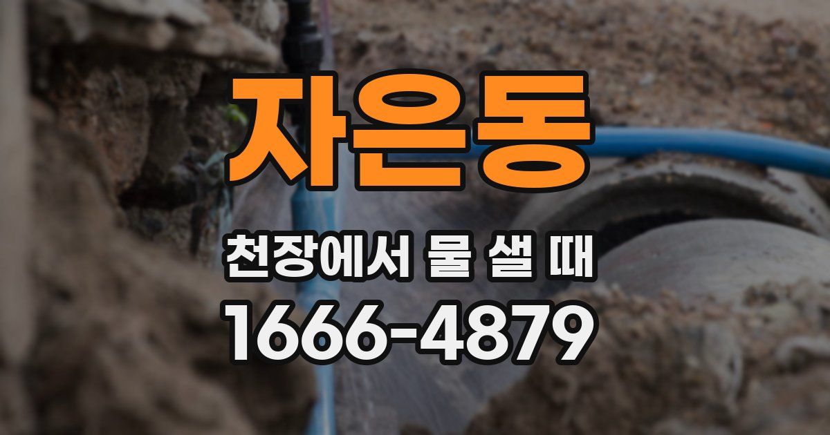 자은동 천장에서 물 샐 때