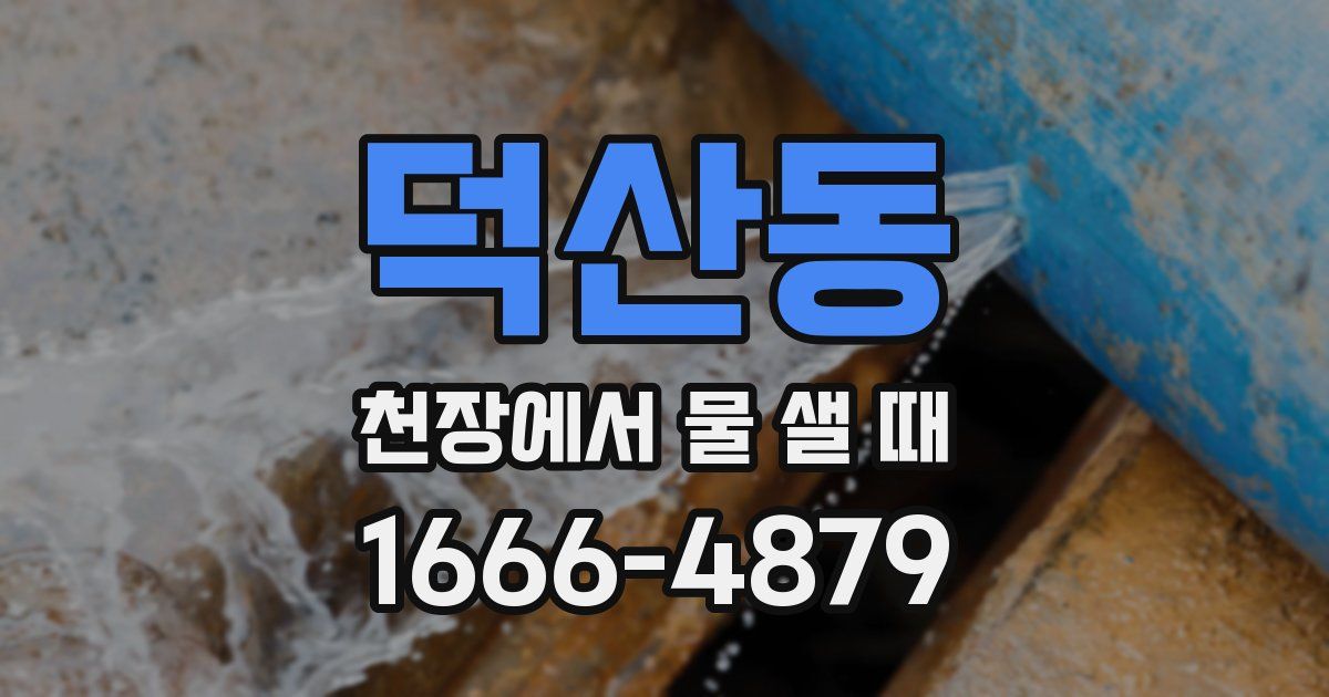 덕산동 천장에서 물 샐 때