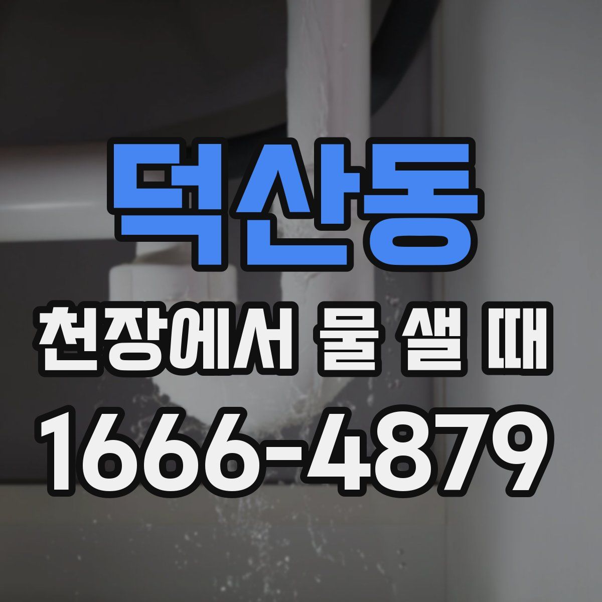 덕산동 천장에서 물 샐 때