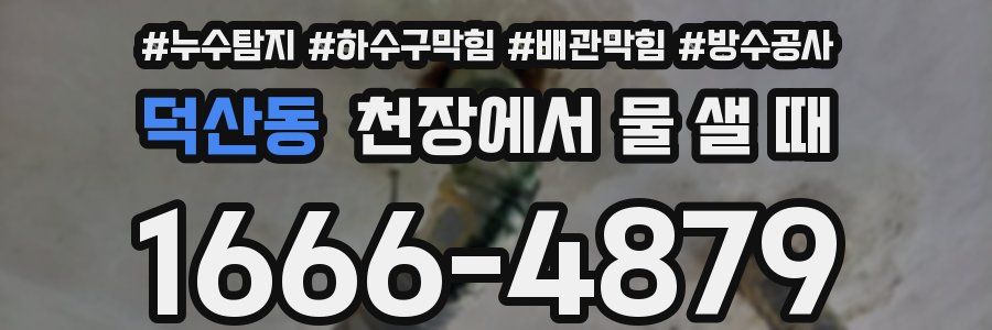 덕산동 천장에서 물 샐 때