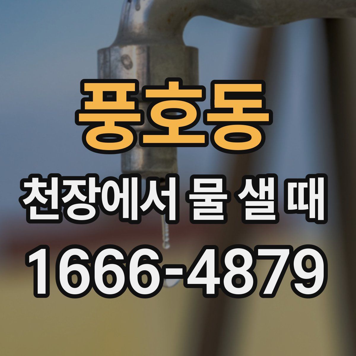 풍호동 천장에서 물 샐 때