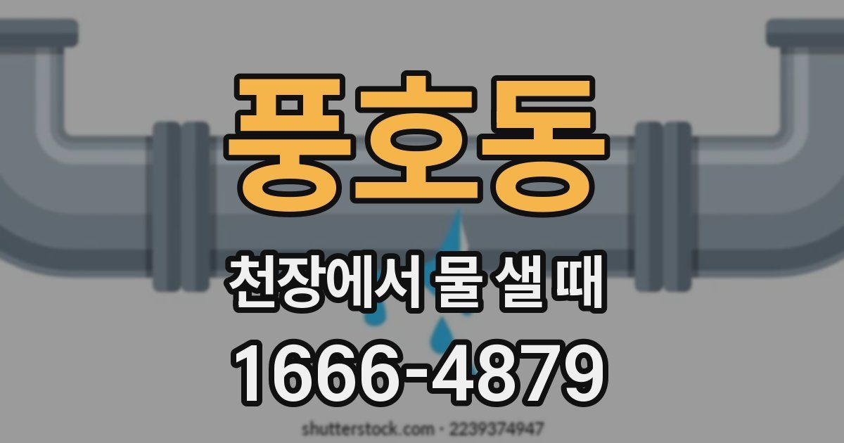 풍호동 천장에서 물 샐 때