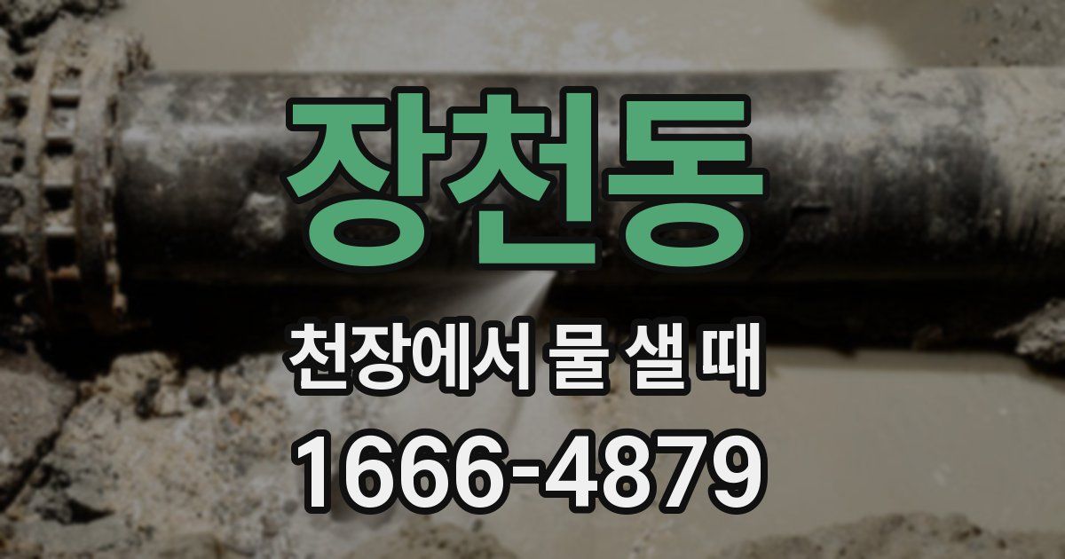 장천동 천장에서 물 샐 때