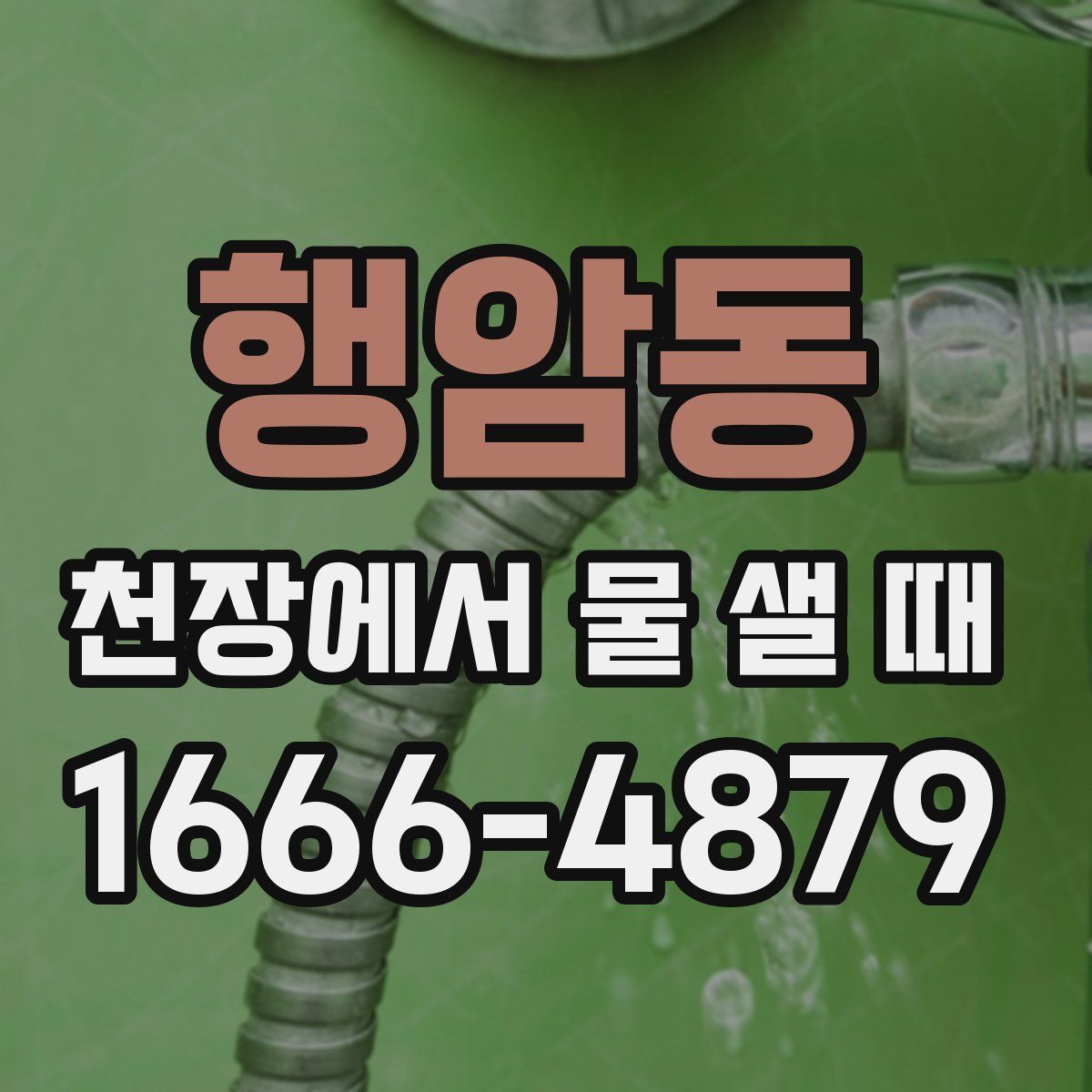 행암동 천장에서 물 샐 때