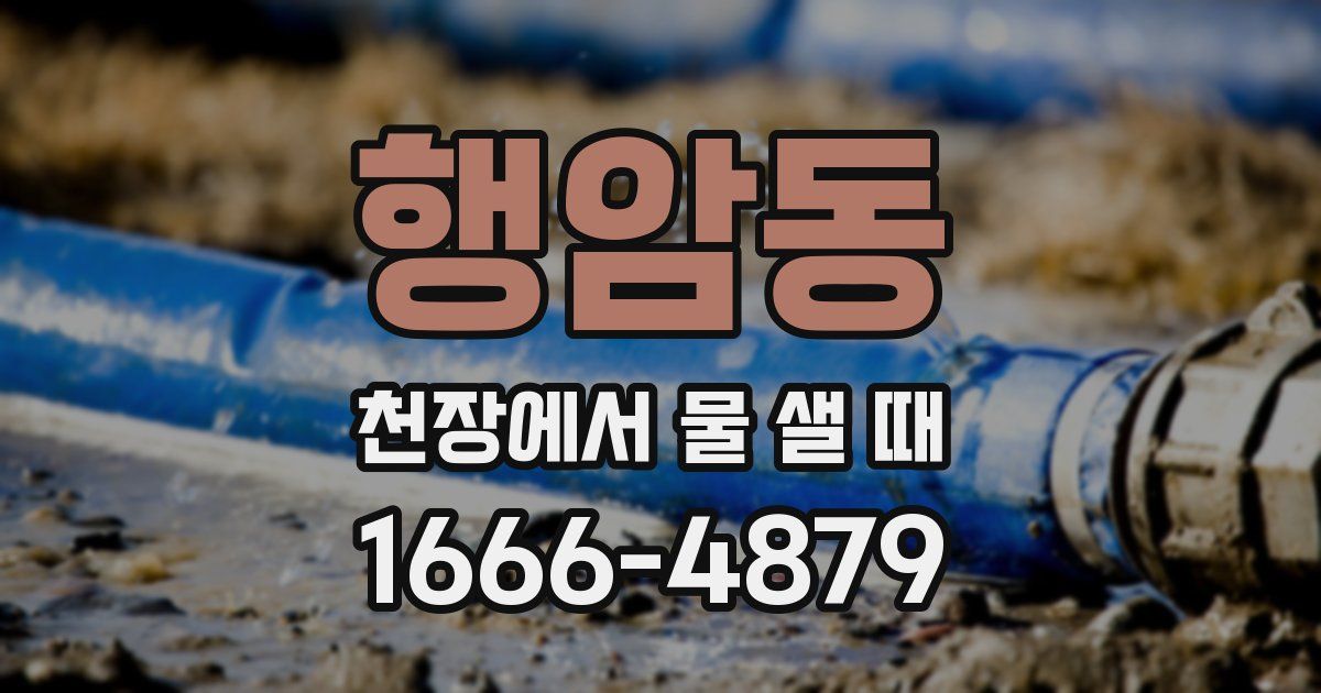 행암동 천장에서 물 샐 때