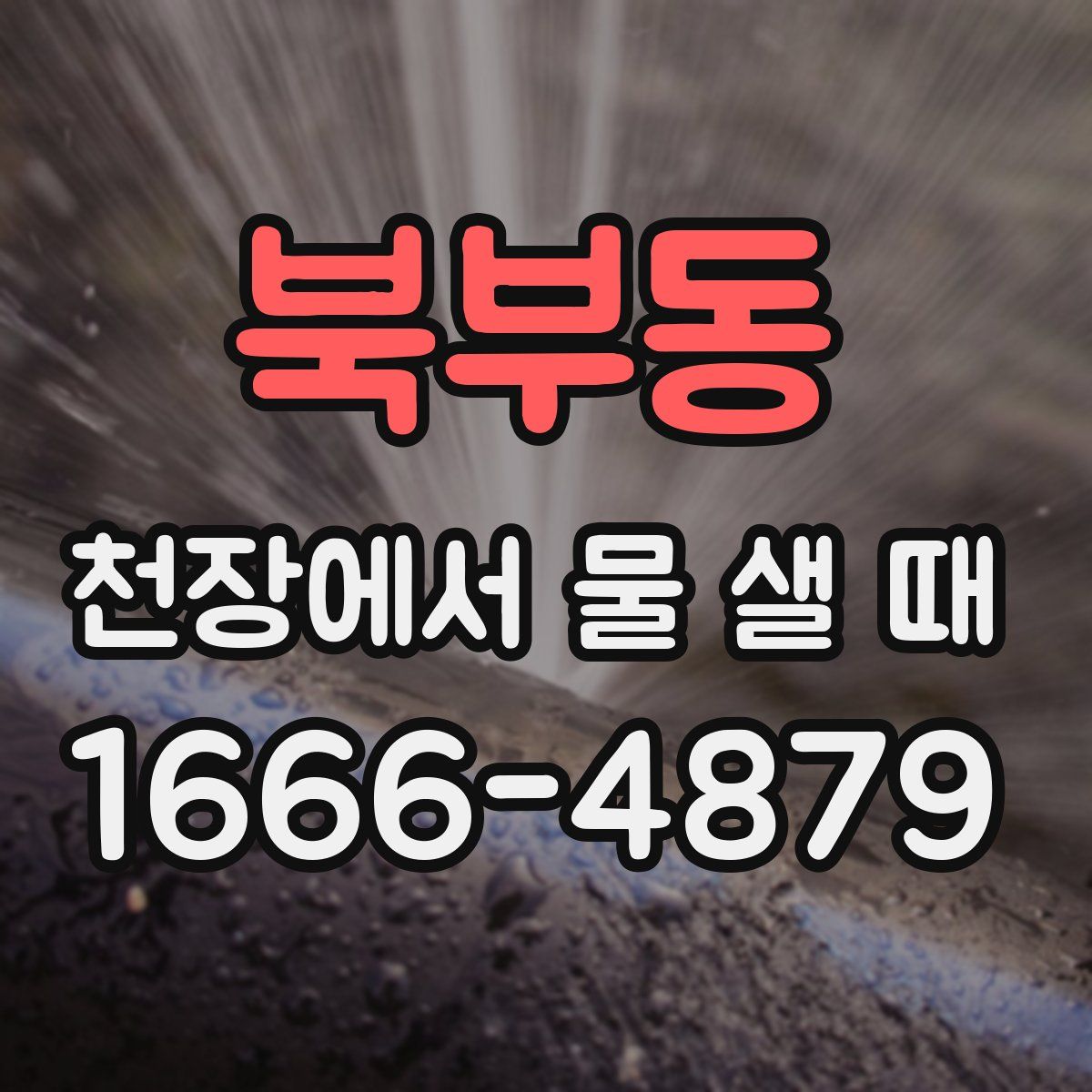 북부동 천장에서 물 샐 때