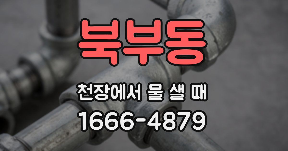 북부동 천장에서 물 샐 때