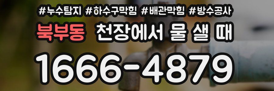 북부동 천장에서 물 샐 때