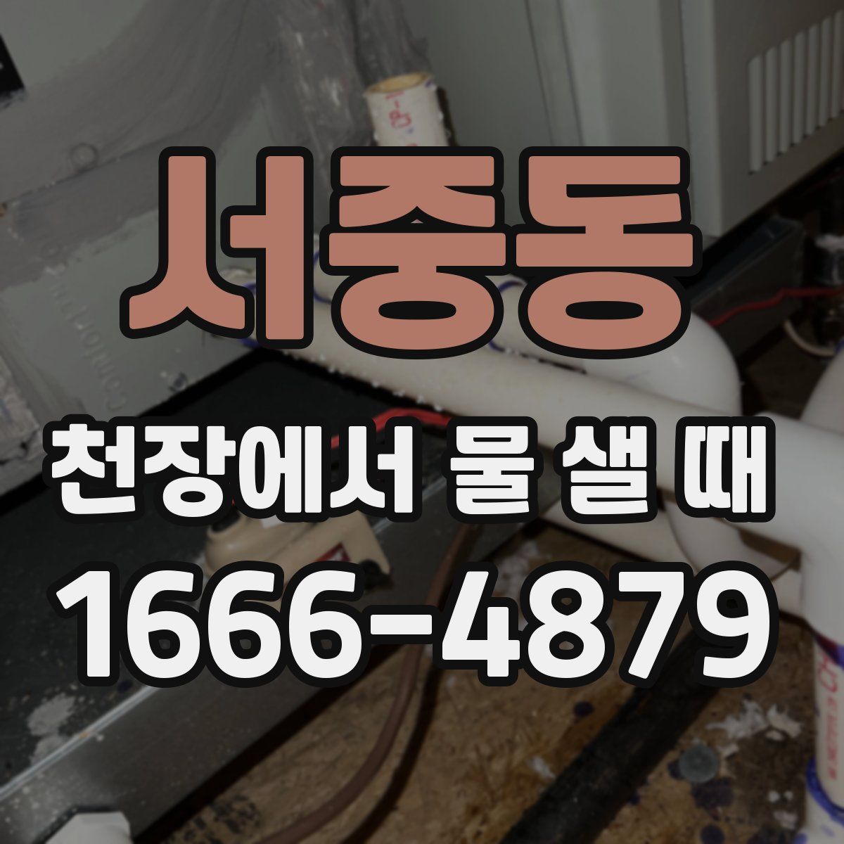 서중동 천장에서 물 샐 때