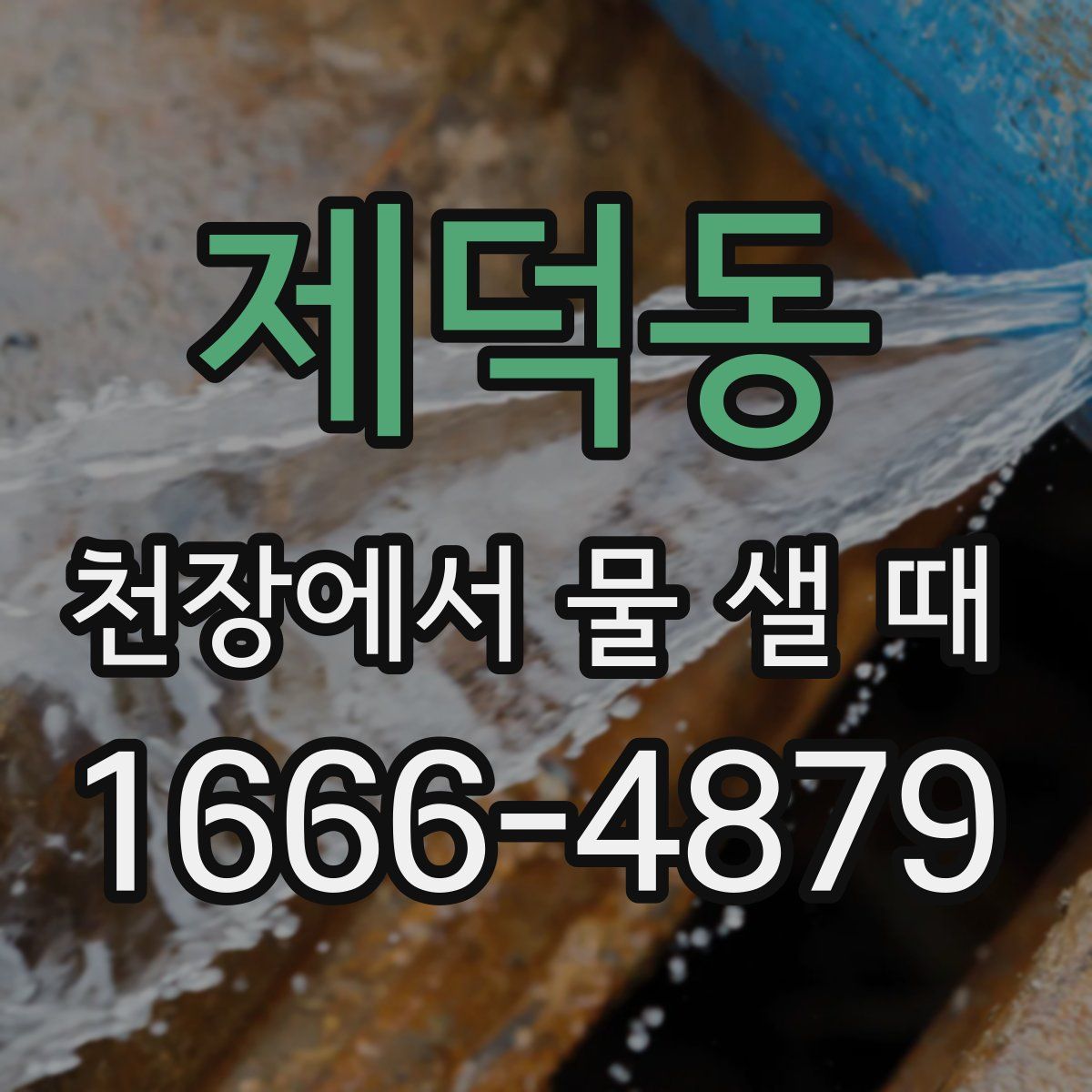 제덕동 천장에서 물 샐 때