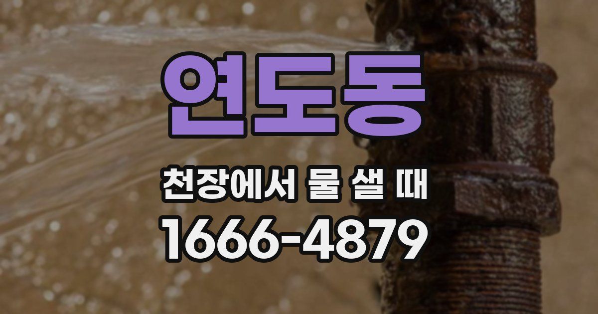 연도동 천장에서 물 샐 때