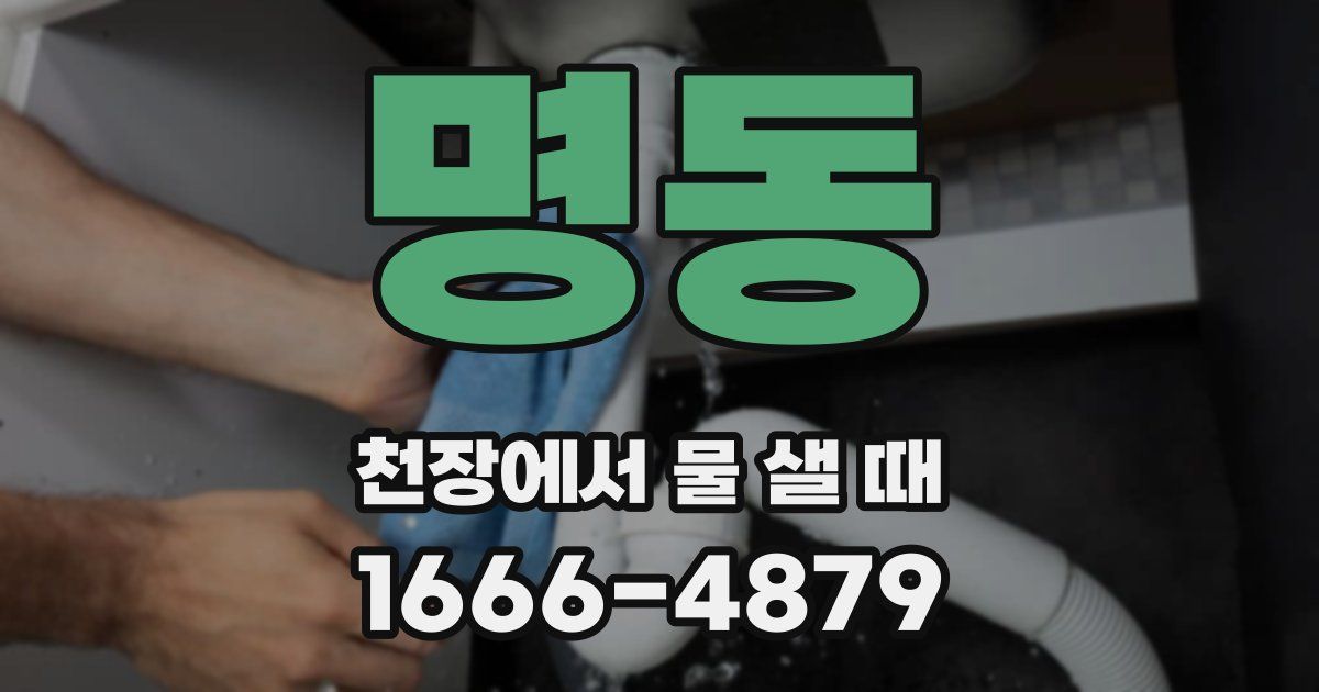 명동 천장에서 물 샐 때