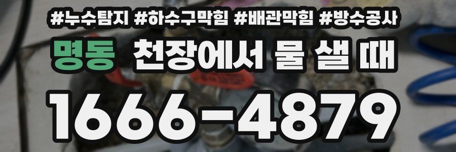 명동 천장에서 물 샐 때