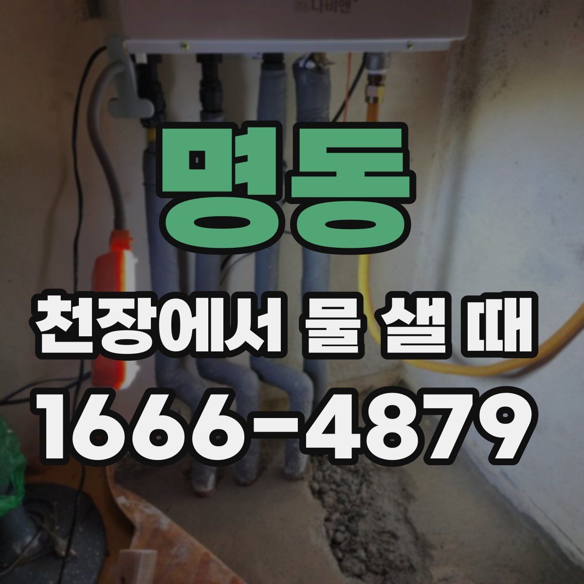 명동 천장에서 물 샐 때