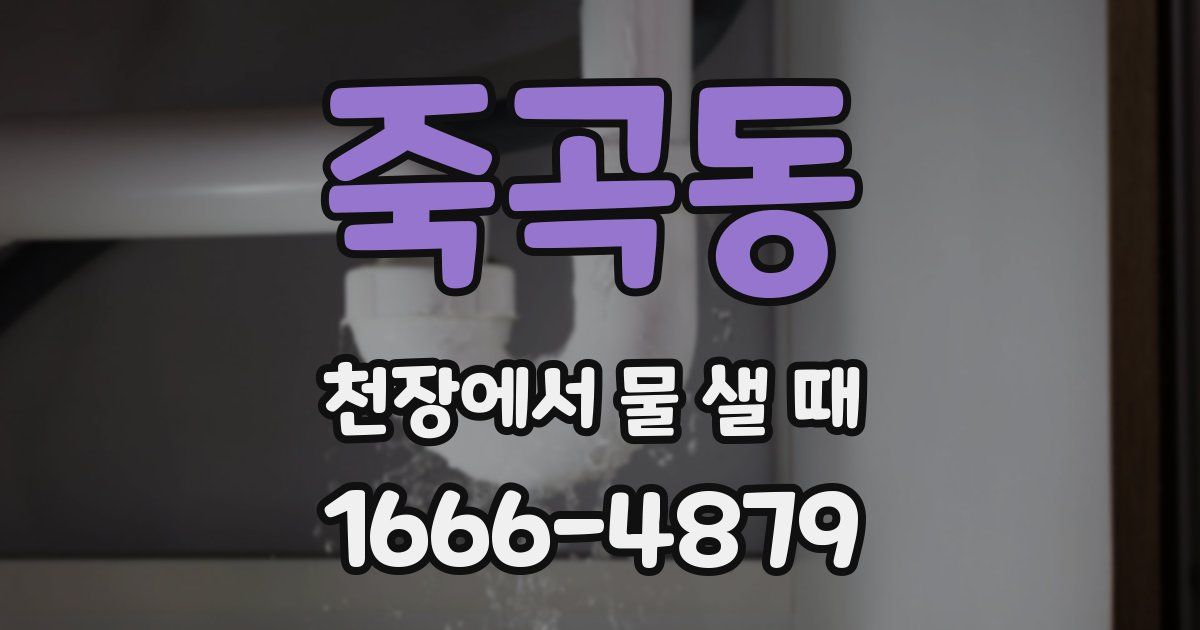 죽곡동 천장에서 물 샐 때