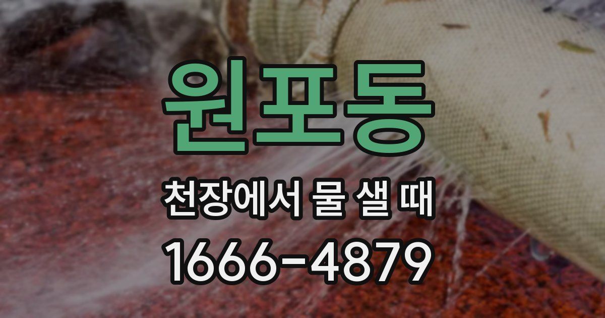 원포동 천장에서 물 샐 때