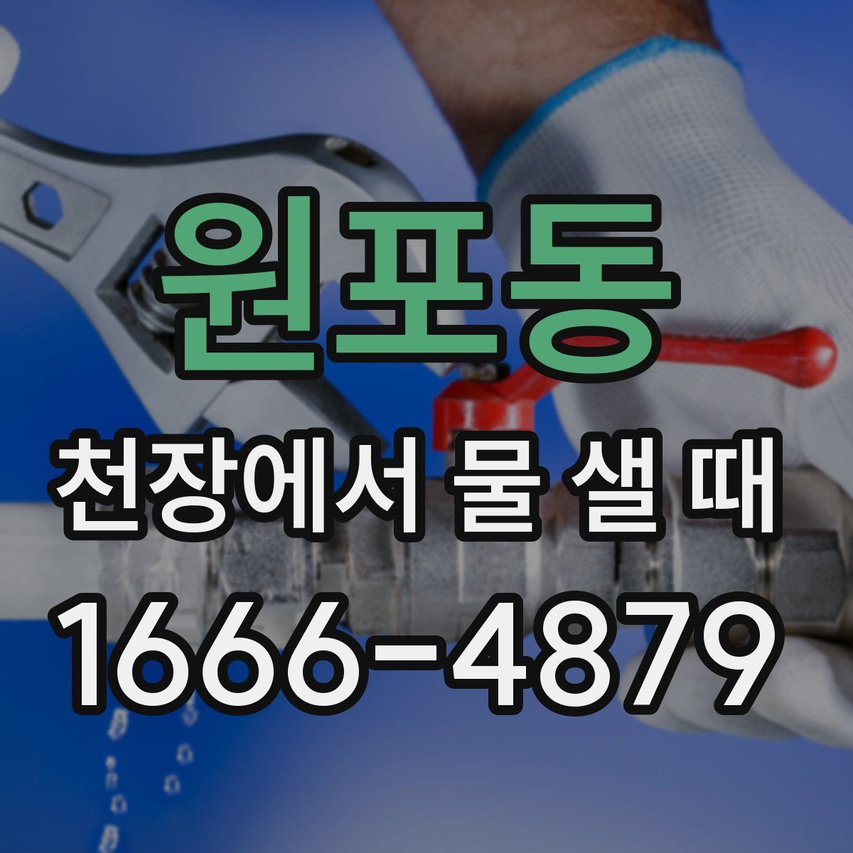 원포동 천장에서 물 샐 때