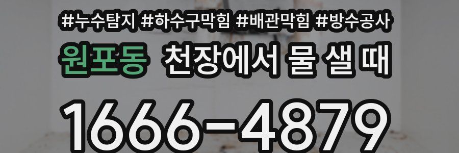 원포동 천장에서 물 샐 때