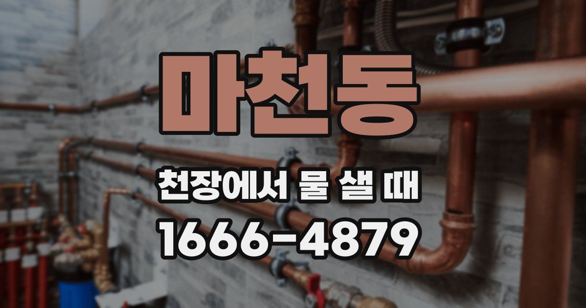 마천동 천장에서 물 샐 때