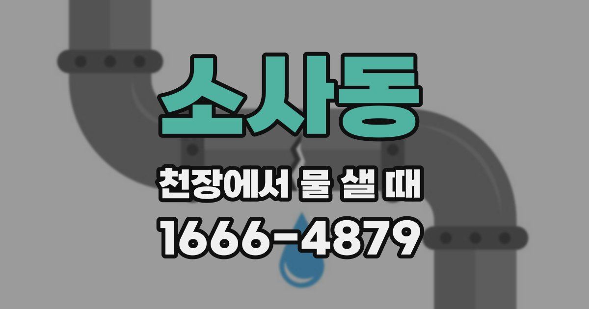 소사동 천장에서 물 샐 때