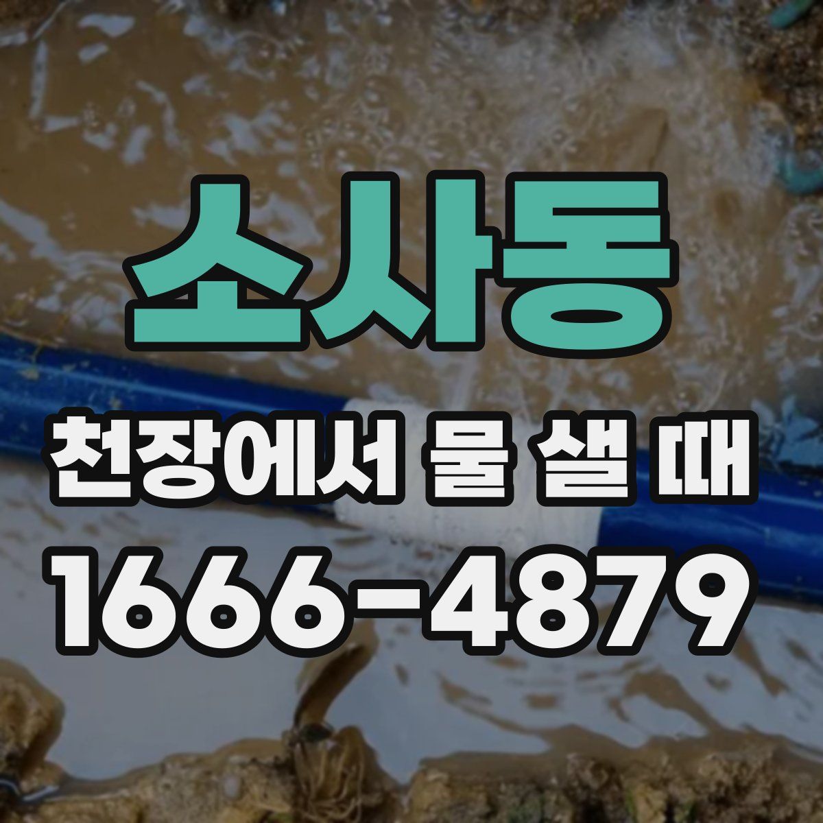 소사동 천장에서 물 샐 때