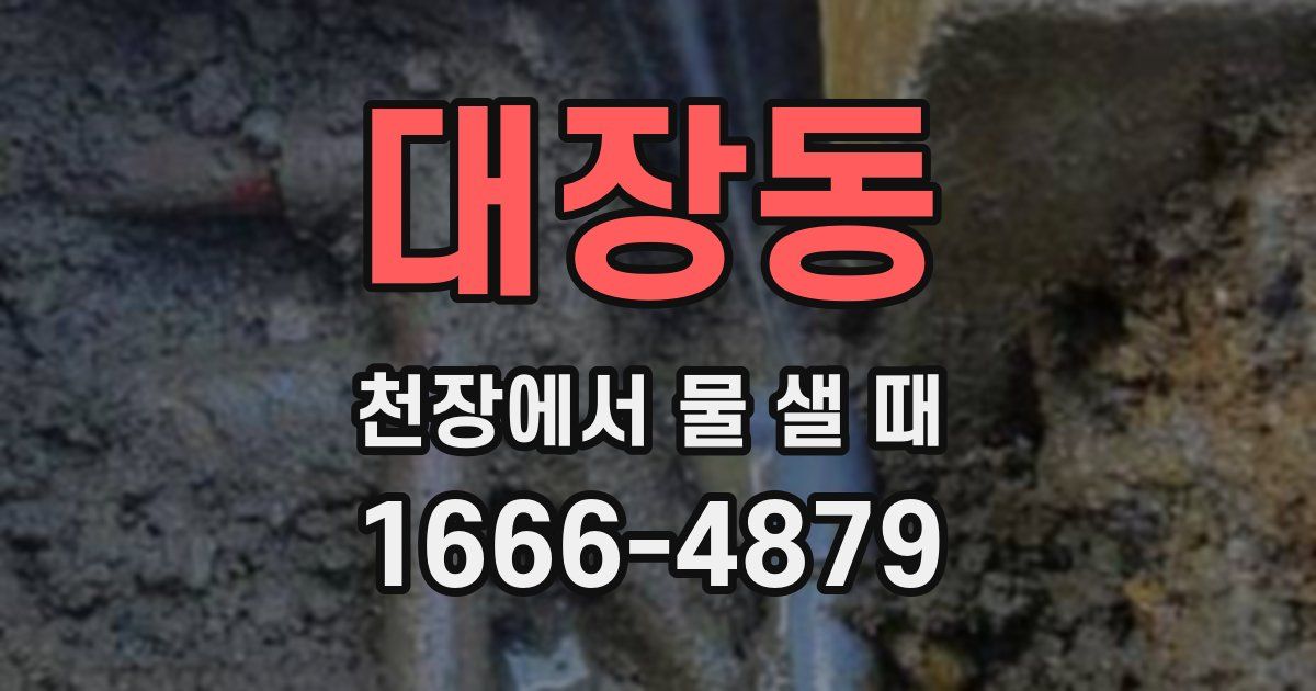 대장동 천장에서 물 샐 때