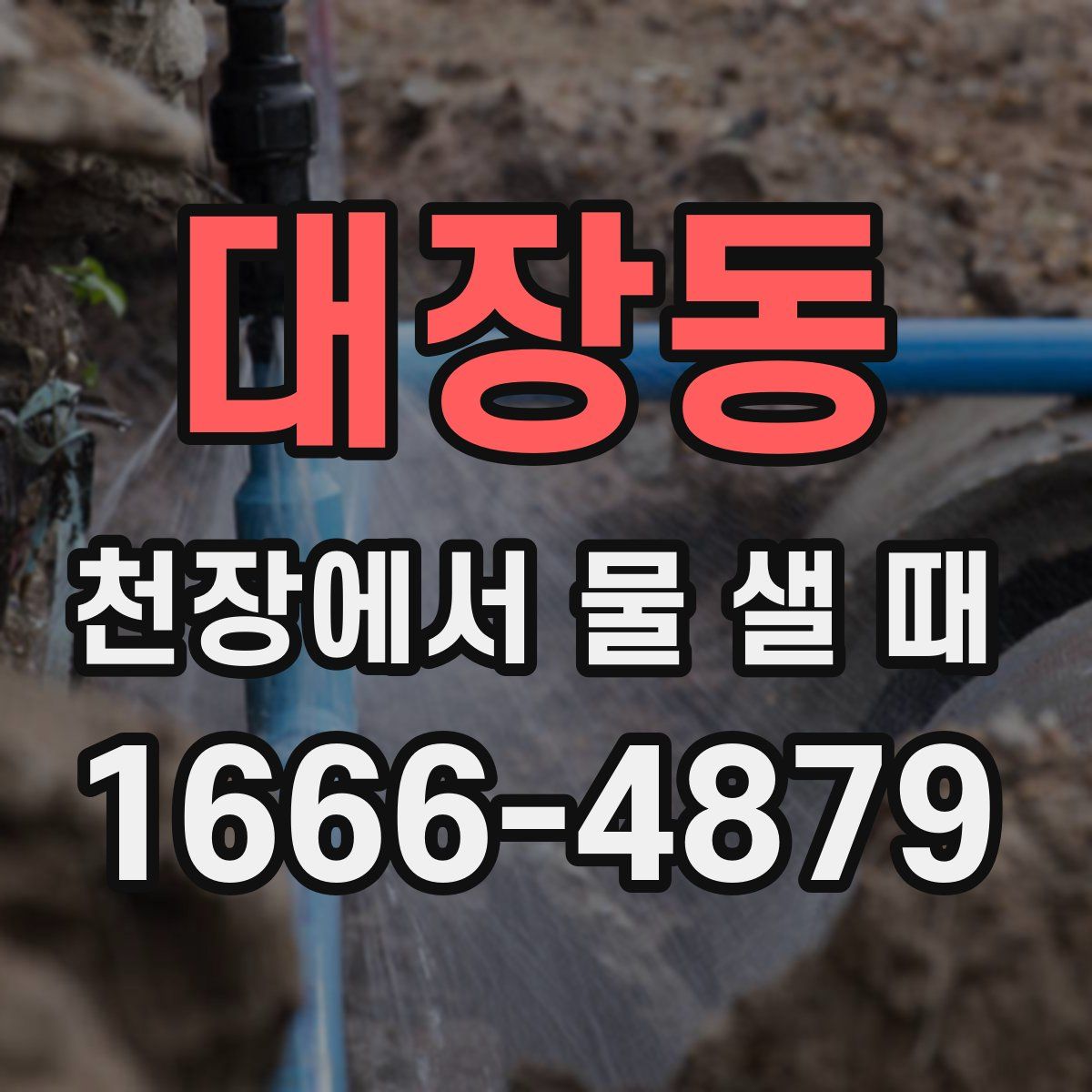 대장동 천장에서 물 샐 때