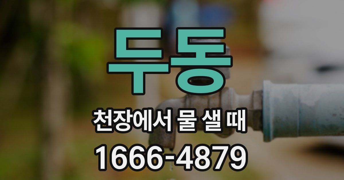 두동 천장에서 물 샐 때