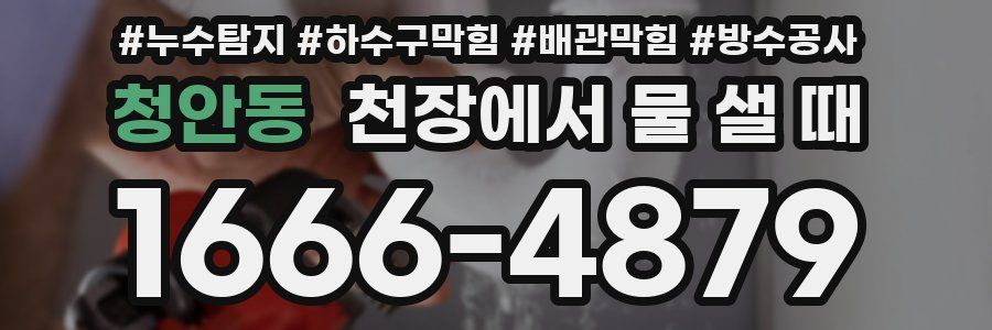 청안동 천장에서 물 샐 때
