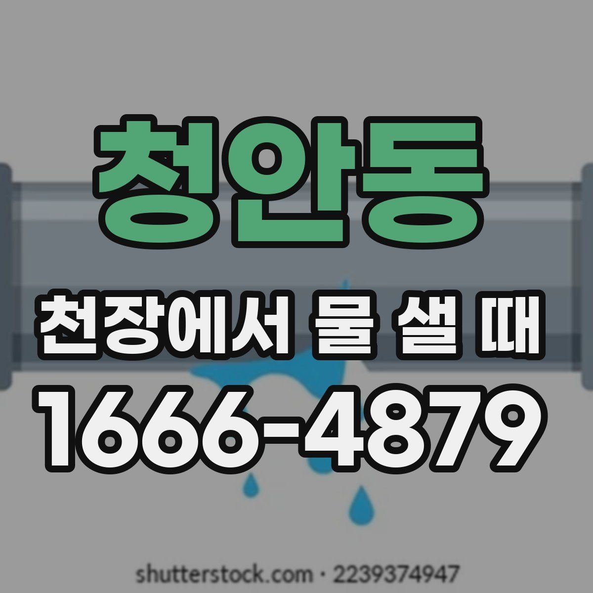 청안동 천장에서 물 샐 때