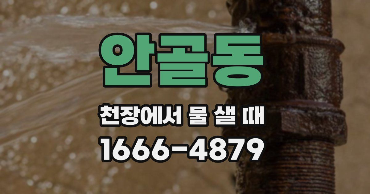 안골동 천장에서 물 샐 때
