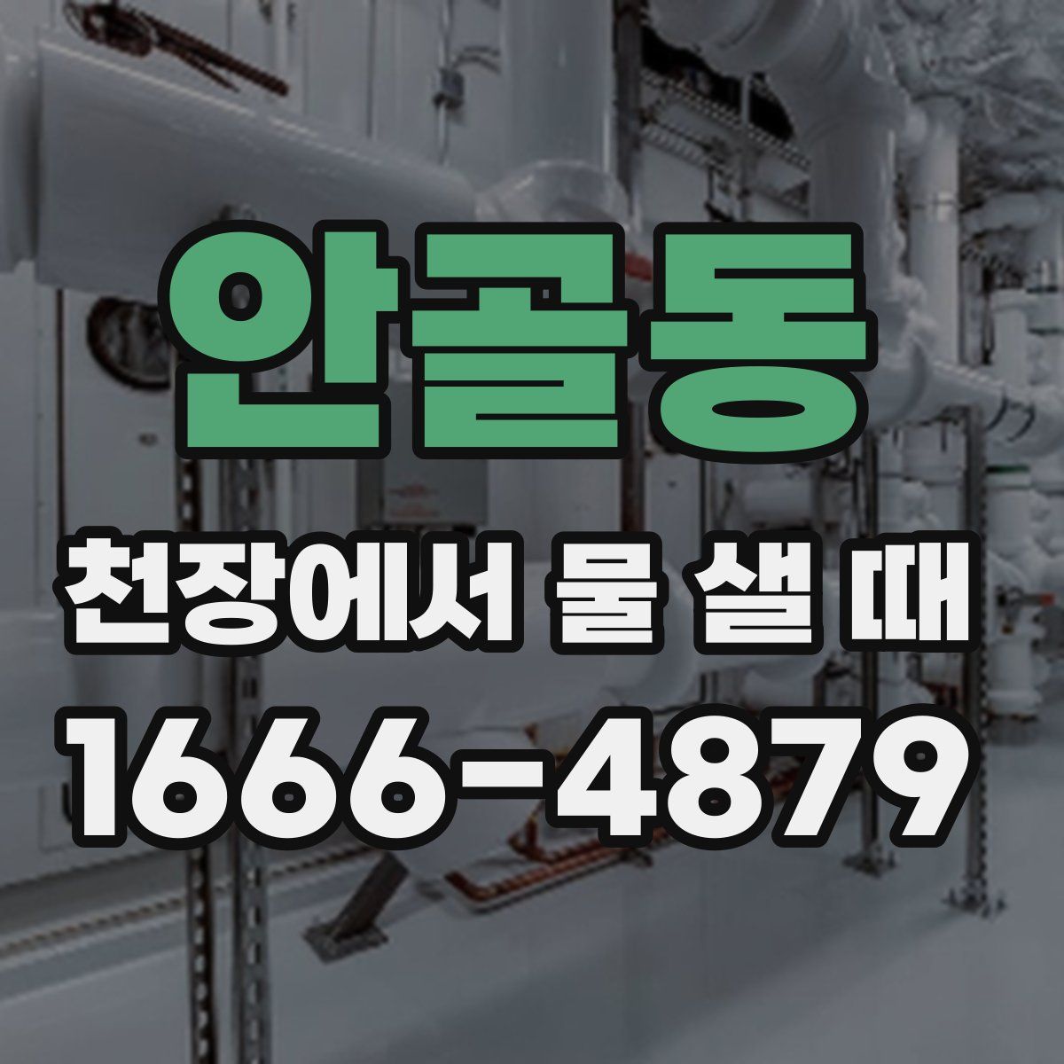 안골동 천장에서 물 샐 때