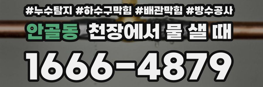 안골동 천장에서 물 샐 때