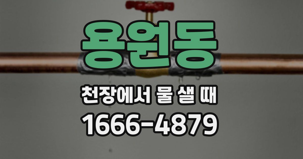 용원동 천장에서 물 샐 때