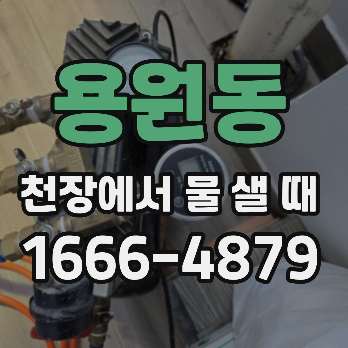 용원동 천장에서 물 샐 때