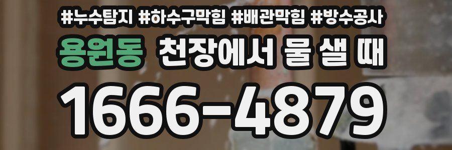 용원동 천장에서 물 샐 때
