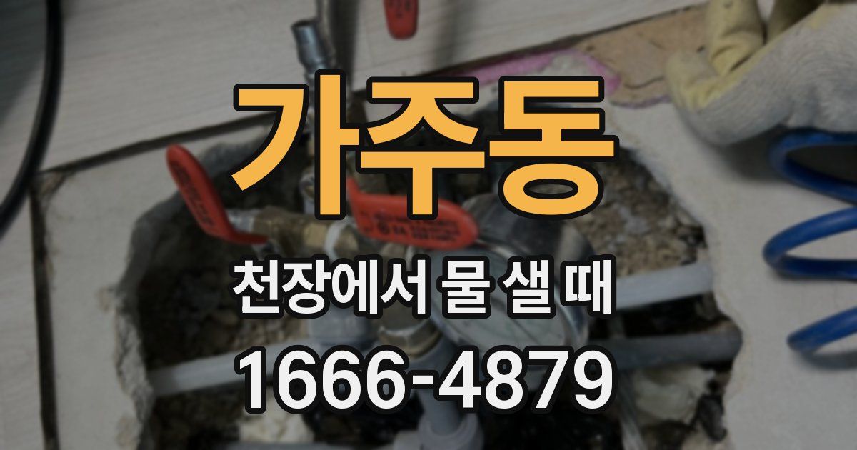 가주동 천장에서 물 샐 때