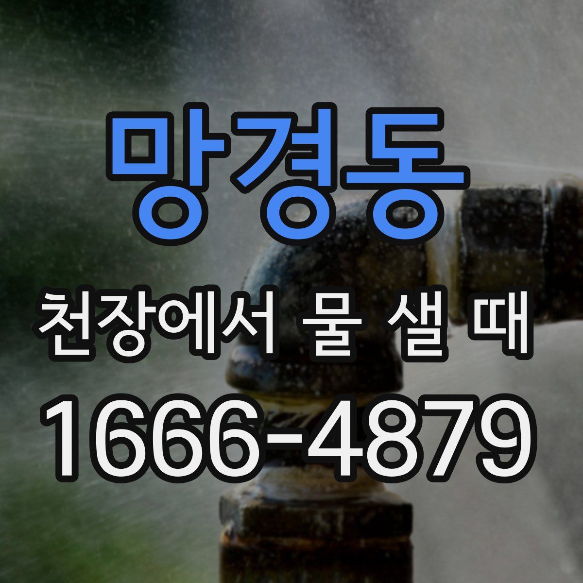 망경동 천장에서 물 샐 때