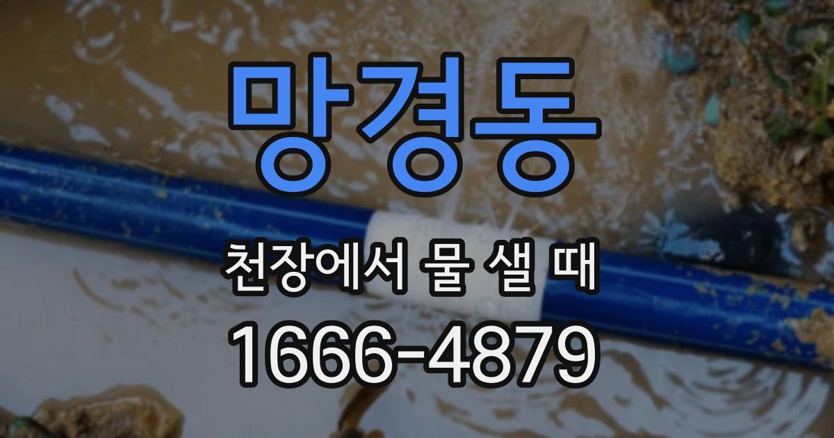 망경동 천장에서 물 샐 때